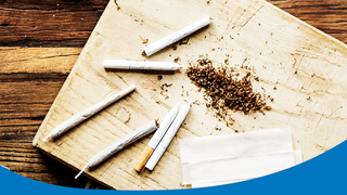 Haltungspapier Experimentierartikel